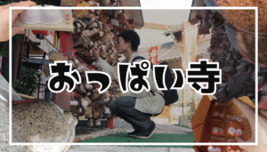 【間々乳観音】胸が小さい＆母乳が出ない悩みに効く龍音寺に参拝してみた