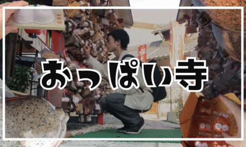 【間々乳観音】胸が小さい＆母乳が出ない悩みに効く龍音寺に参拝してみた